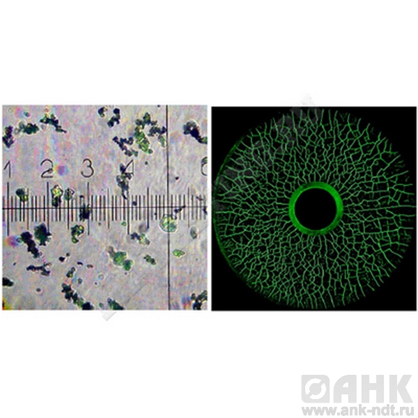 Концентрат Super Magna LY 2500