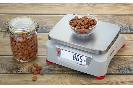 Поверка весов технических V12P15